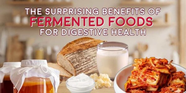 discover-the-world-of-fermented-foods-and-their-surprising-benefits-for-your-gut