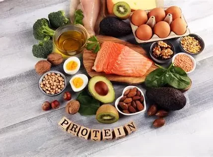 Protein-Rich Foods for Athletes