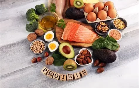 Protein-Rich Foods for Athletes