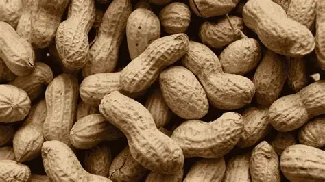 peanuts-more-than-just-a-snack