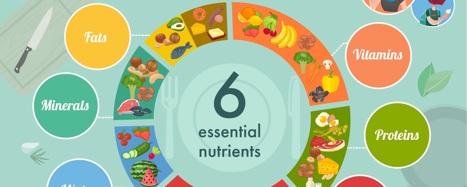 eat-well-and-stay-healthy-10-nutrition-principles-you-cant-ignore