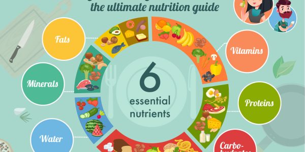eat-well-and-stay-healthy-10-nutrition-principles-you-cant-ignore