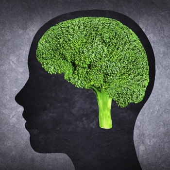 conclusion-food-is-more-than-fuel