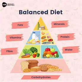 what-is-balanced-nutrition-a-detailed-guide-for-beginners