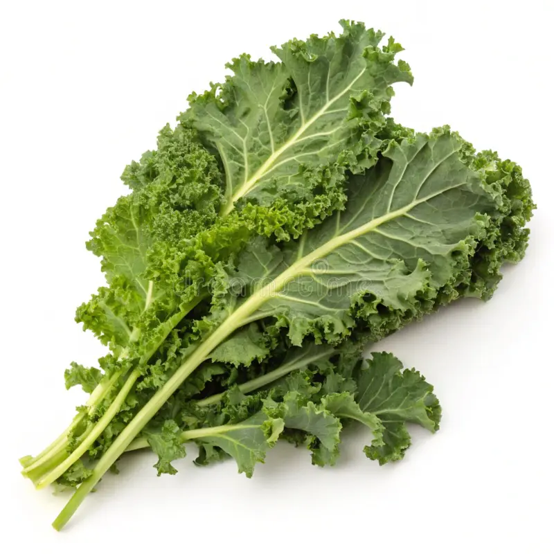 kale-the-leafy-green-superfood